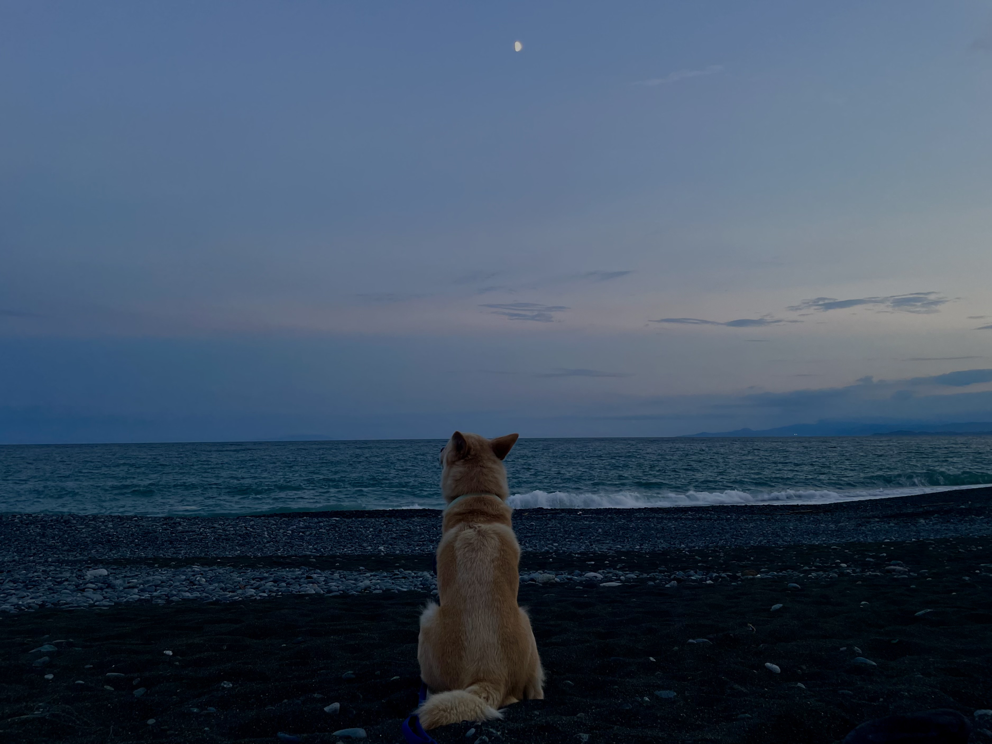 IMG_4380.jpeg