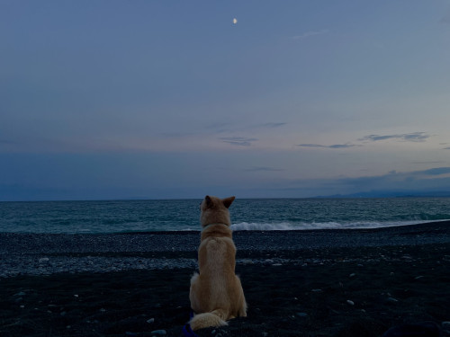 久しぶりに…