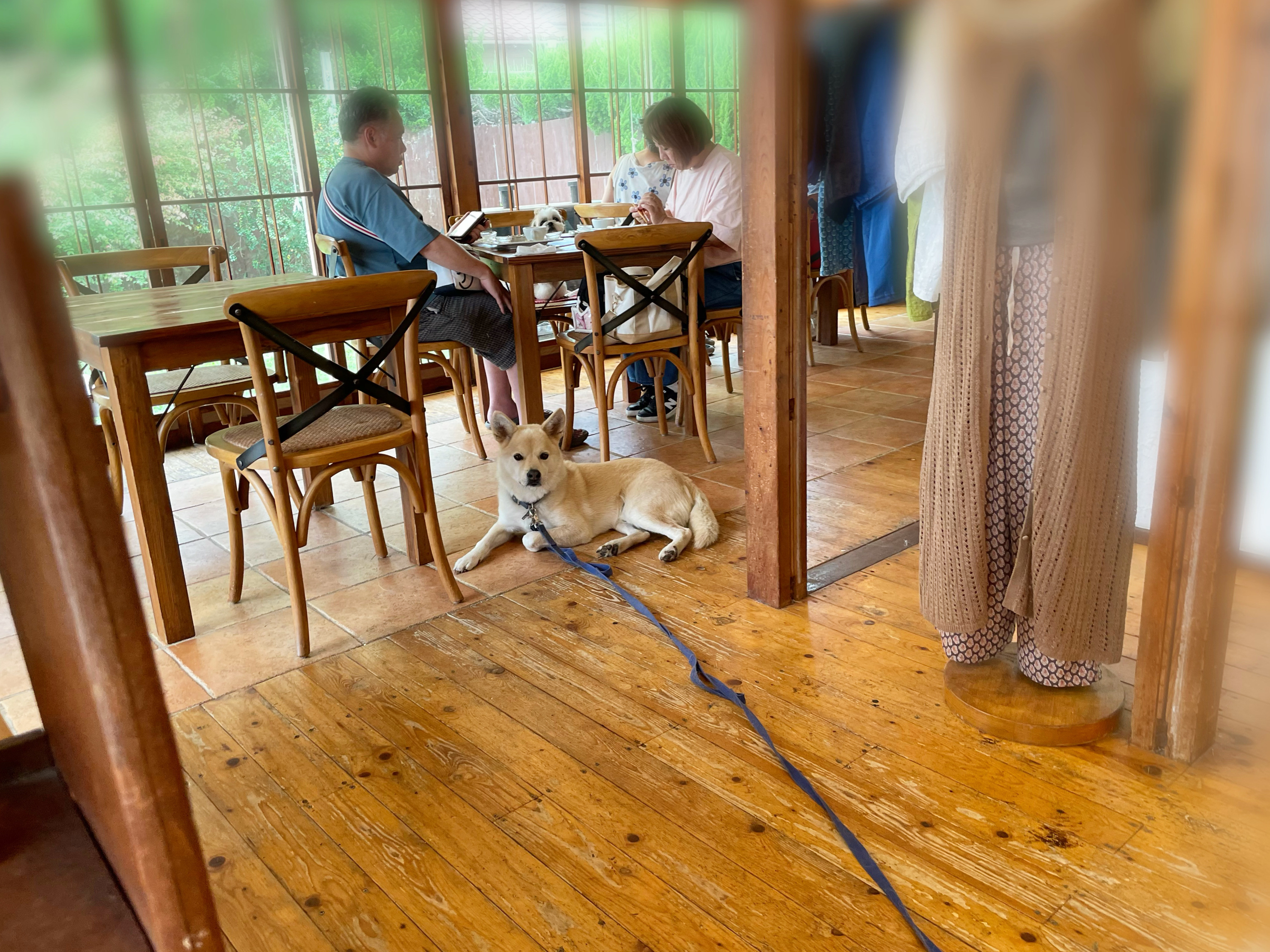 D7D6E5B0-6101-4D22-BD44-6748F791BF98.jpeg