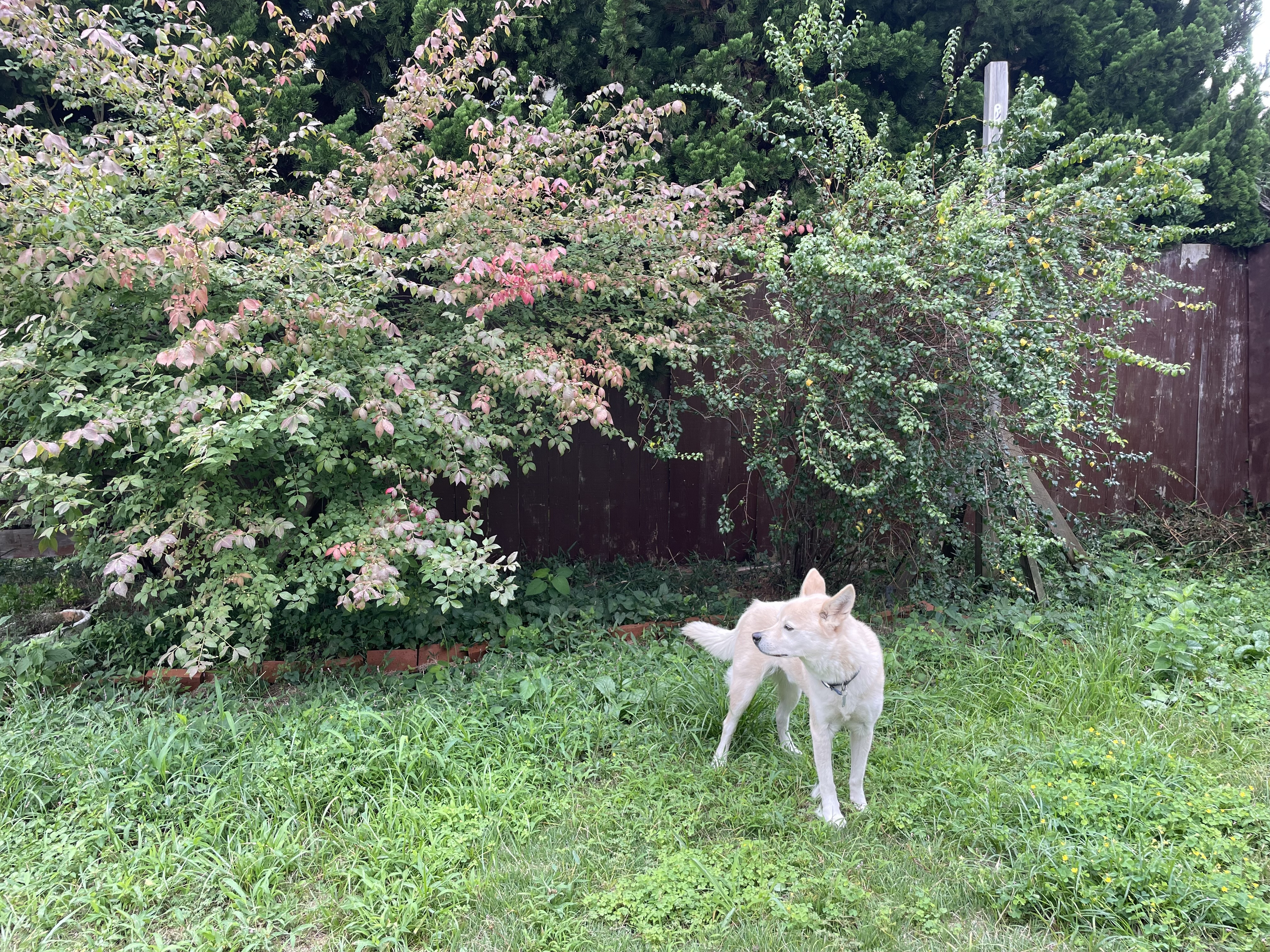 IMG_4476.jpeg