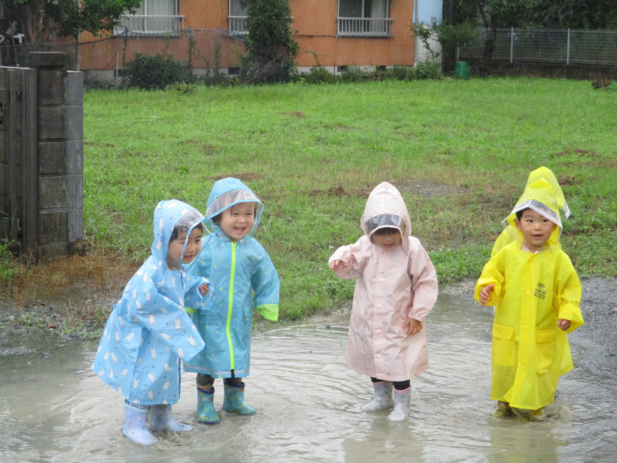 雨の日散歩