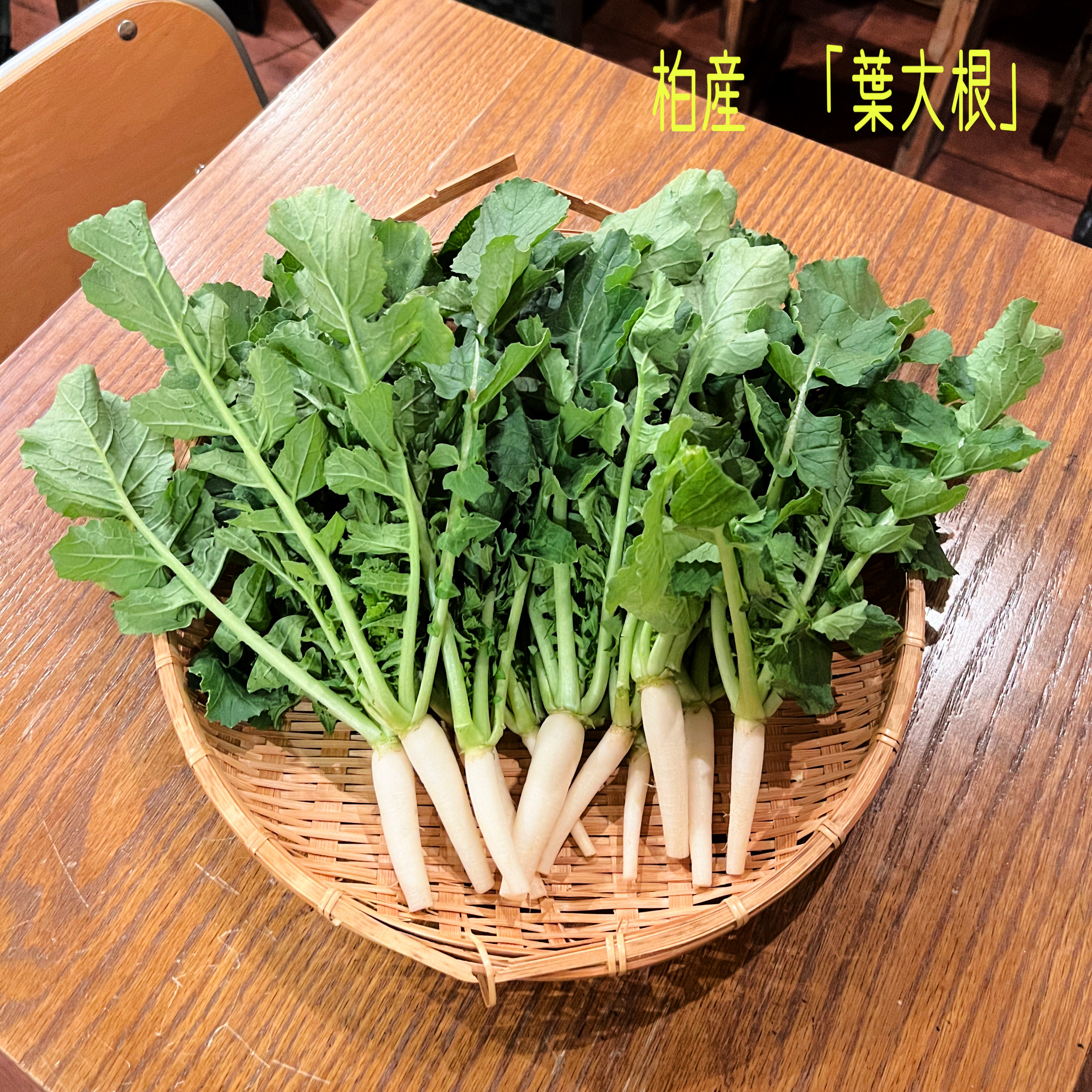 柏産「葉大根」　登場