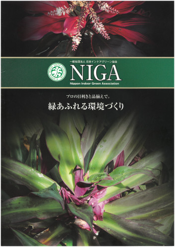 NIGA観葉植物カタログ表紙.jpg