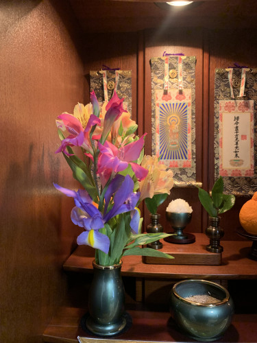 4月 池﨑京美.jpg