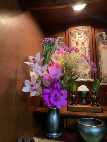 5月 池﨑京美.jpg