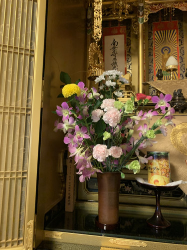5月 小谷トミ子.jpg