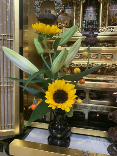 8月 熊田節子.jpg