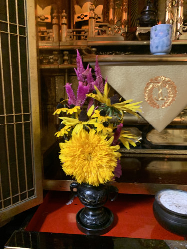 8月 小谷恵義.jpg