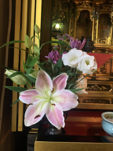 8月 大迫健次.jpg