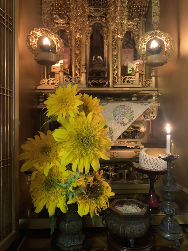 8月 小谷美千子.jpg