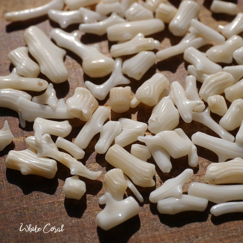 天然石ホワイトコーラル 約15g分詰合せ 約4～15mm 穴なし さざれ石 サンゴ白珊瑚