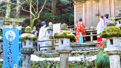 S__137404420_0.jpg