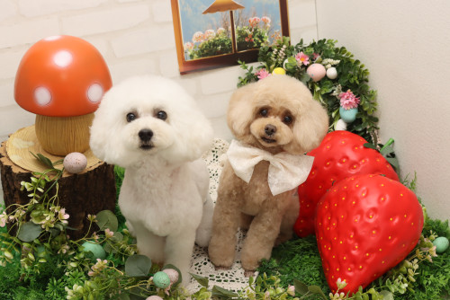 ♡りくくん♡るいくん♡