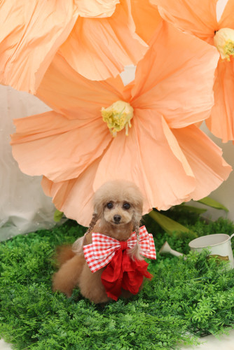 IMG_0360.jpeg