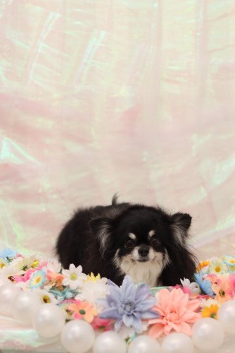 IMG_1294.jpeg