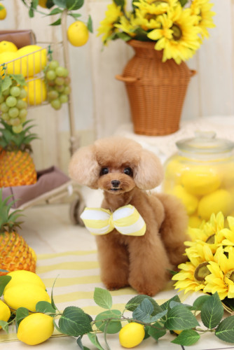 IMG_4854.jpeg
