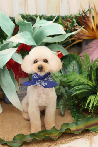 IMG_7490.jpeg