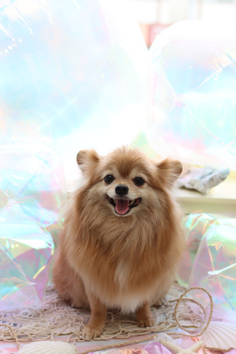 IMG_7595.jpeg