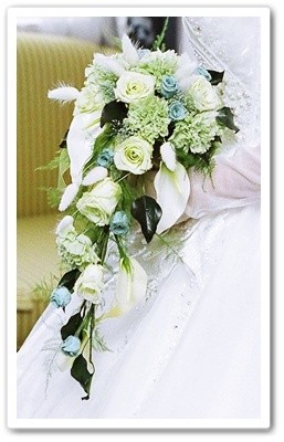 taikenflw-1-1 (1).jpg