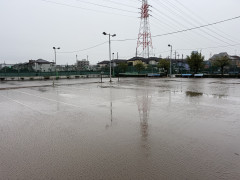 IMG_4219.jpeg
