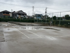 IMG_4242.jpeg