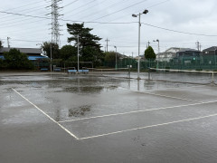 IMG_4243.jpeg