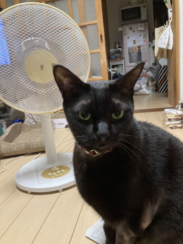 IMG_0064.jpeg