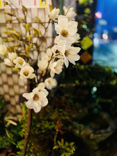 149F54CC-EF12-45C5-84EC-C297CCDE78BE.jpeg