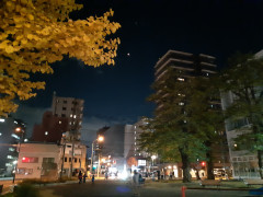 20221108_191516.jpg
