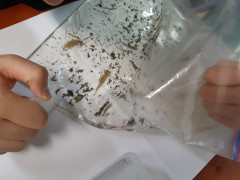 20230512_190705.jpg