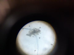 20230513_174336.jpg