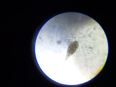 20230512_194751.jpg