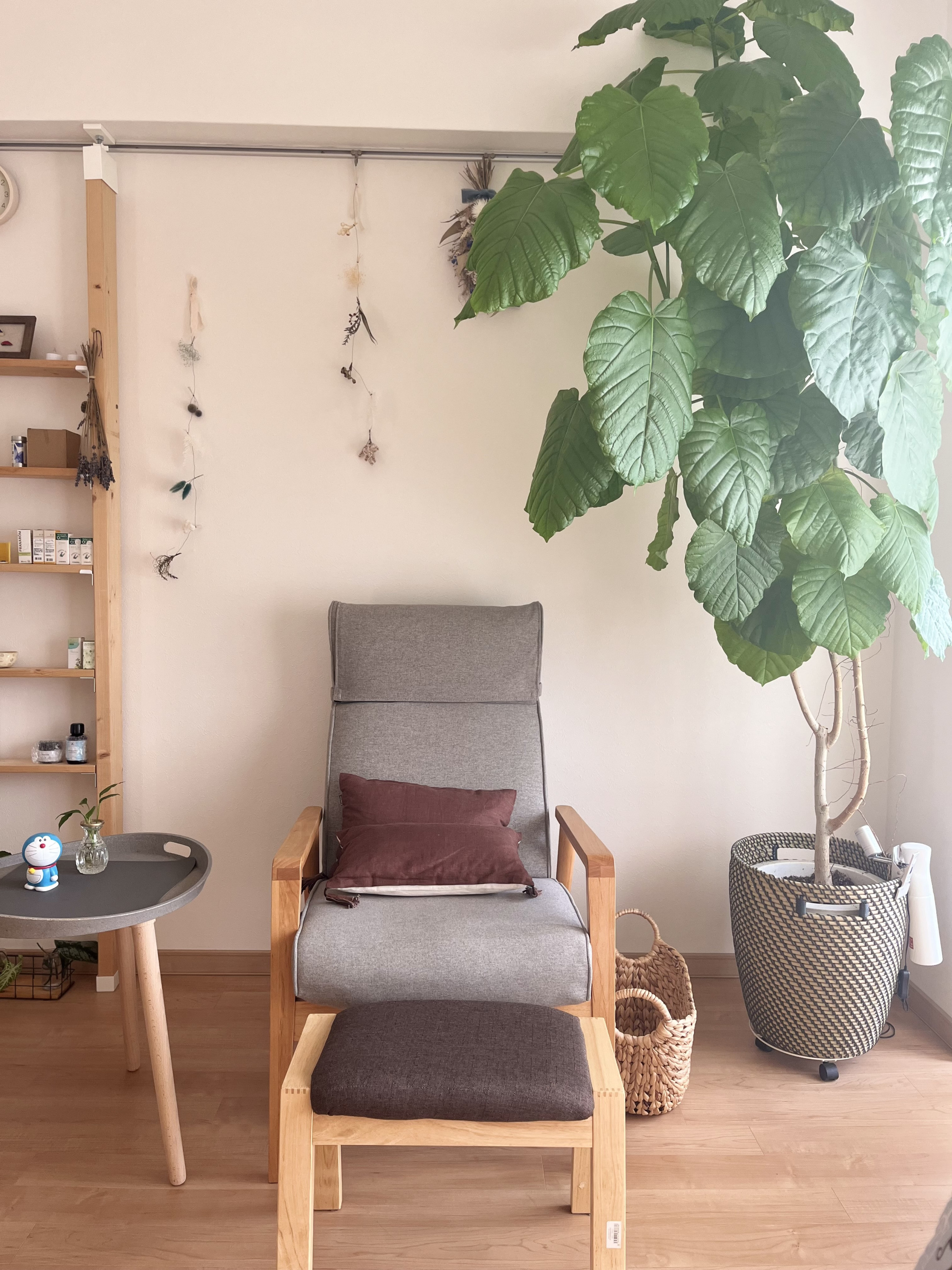 ようこそAromatherapySchoolわこうへ