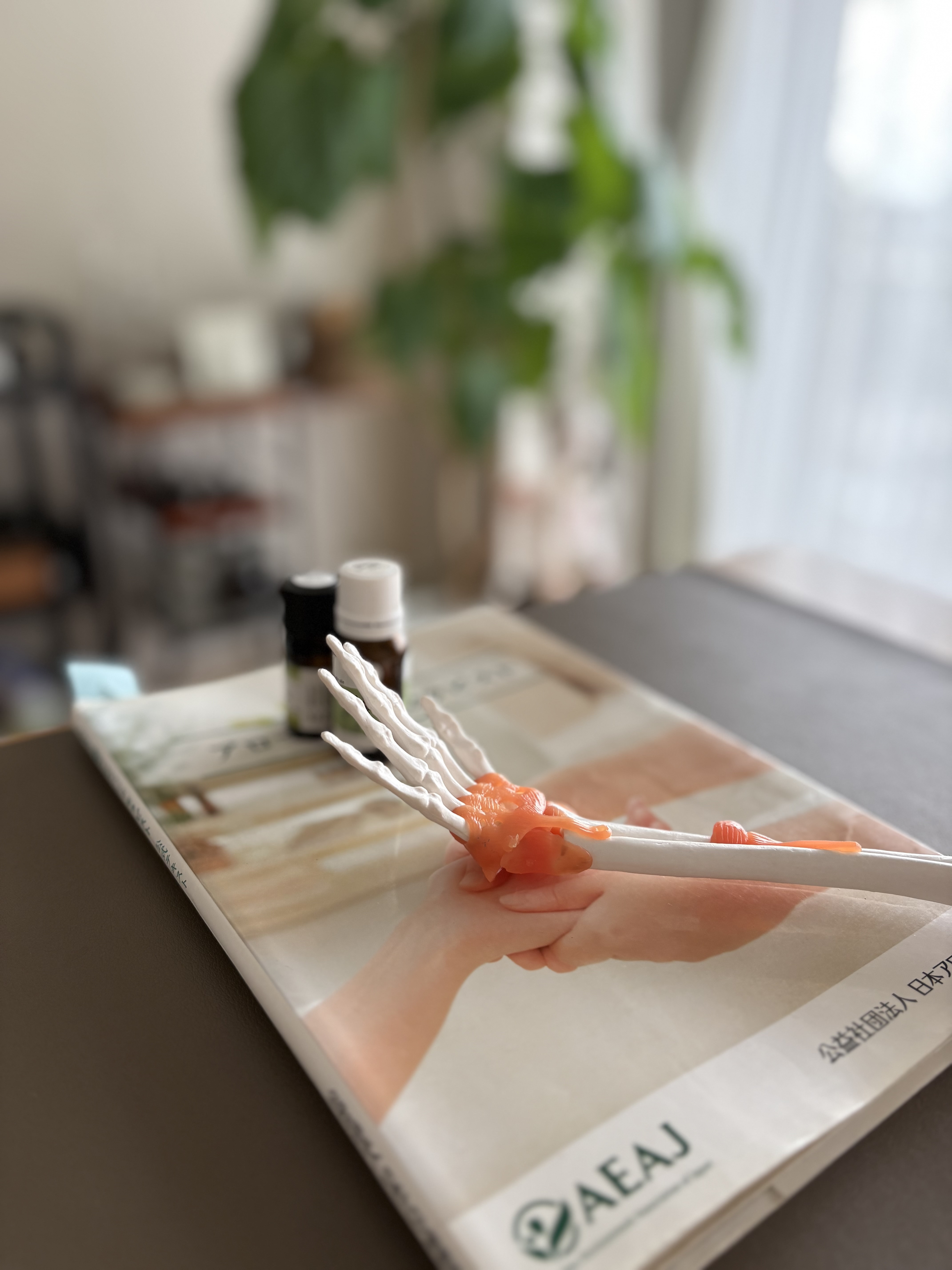 第38期アロマハンドセラピストの受講受付中です