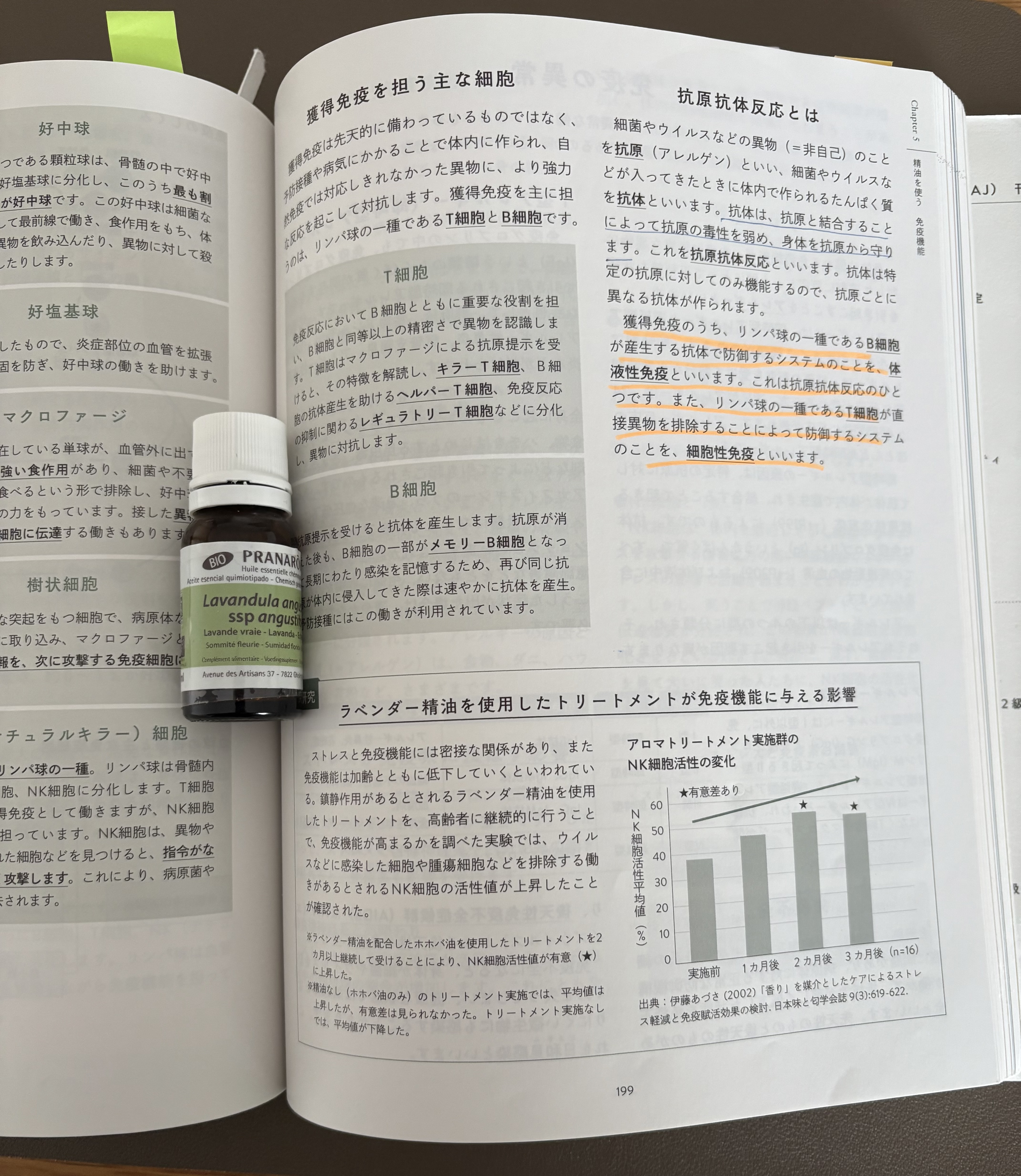 アロマテラピーインストラクター・アロマセラピスト共通学科試験対策講座