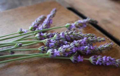 ◆AEAJアロマセラピスト資格対応コース