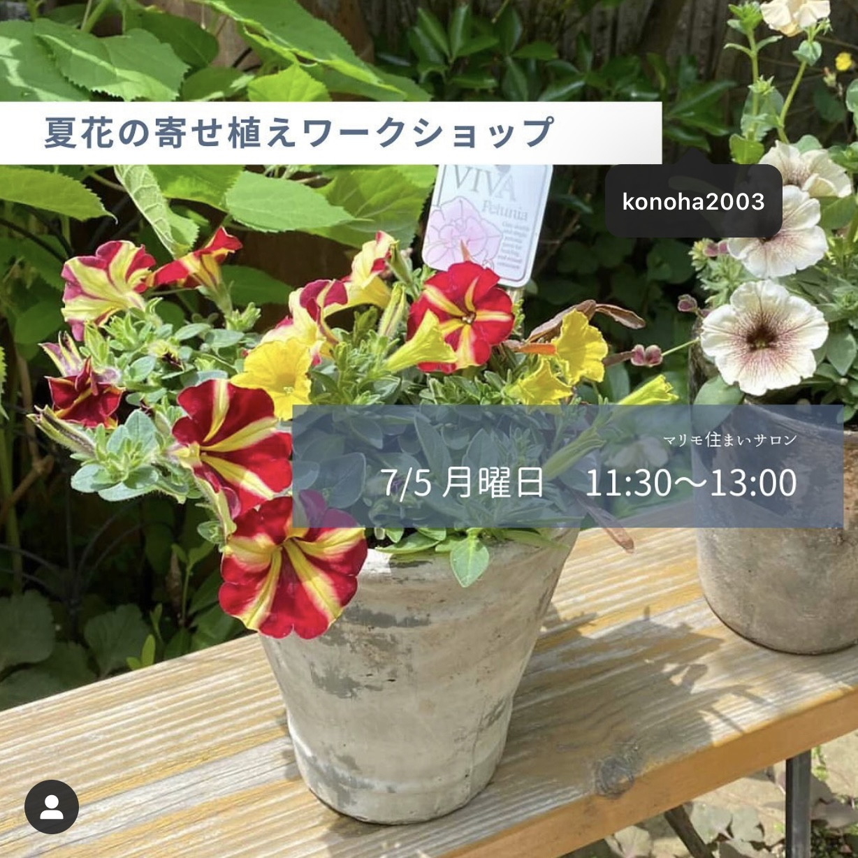 ガーデニングレッスン 夏花の寄せ植え Konohaの庭