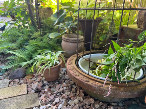2023年9月・10月 OPEN GARDEN！