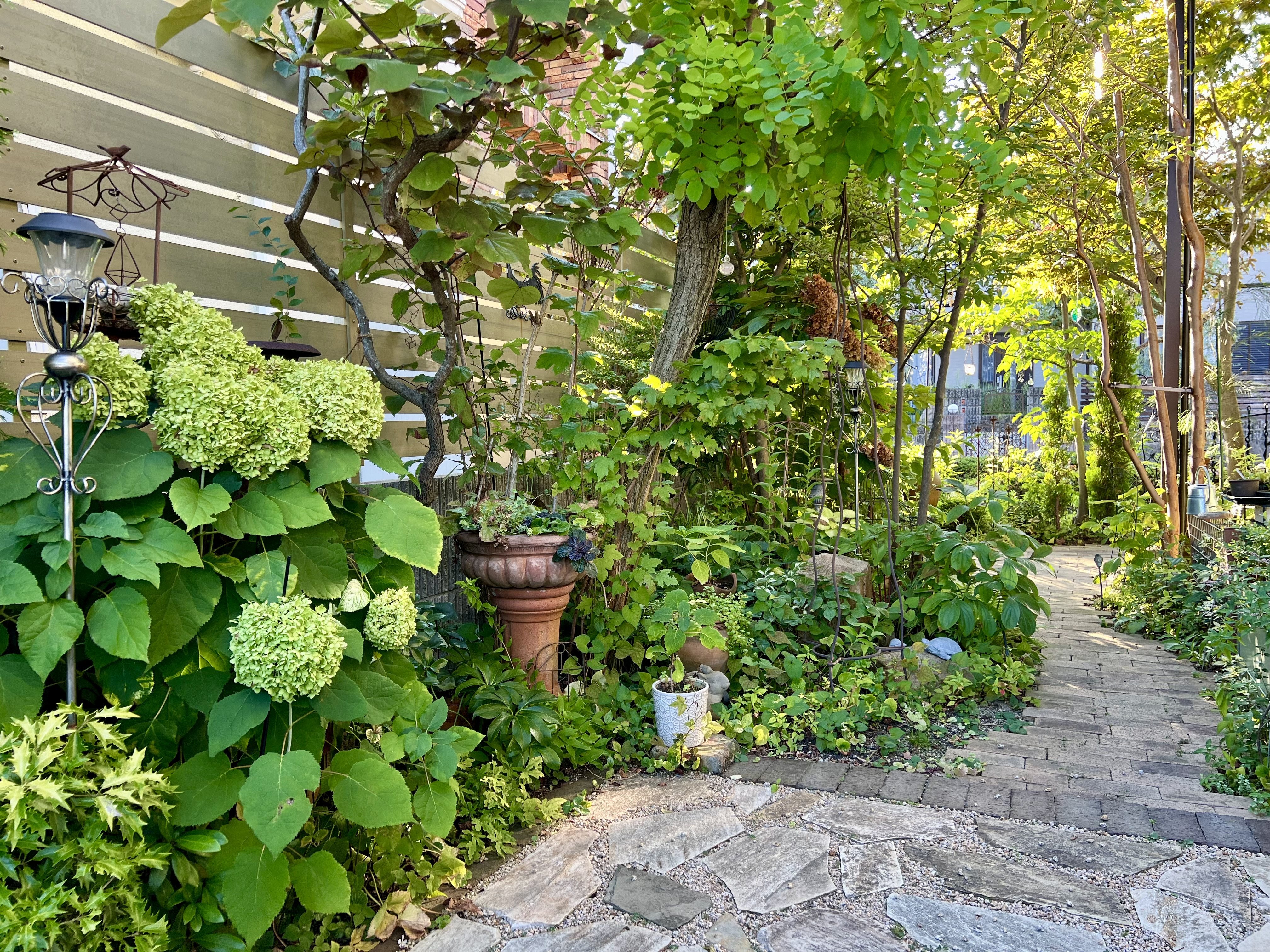 2025年9月 ❃ OPEN GARDEN
