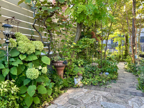 2025年9月 ❃ OPEN GARDEN