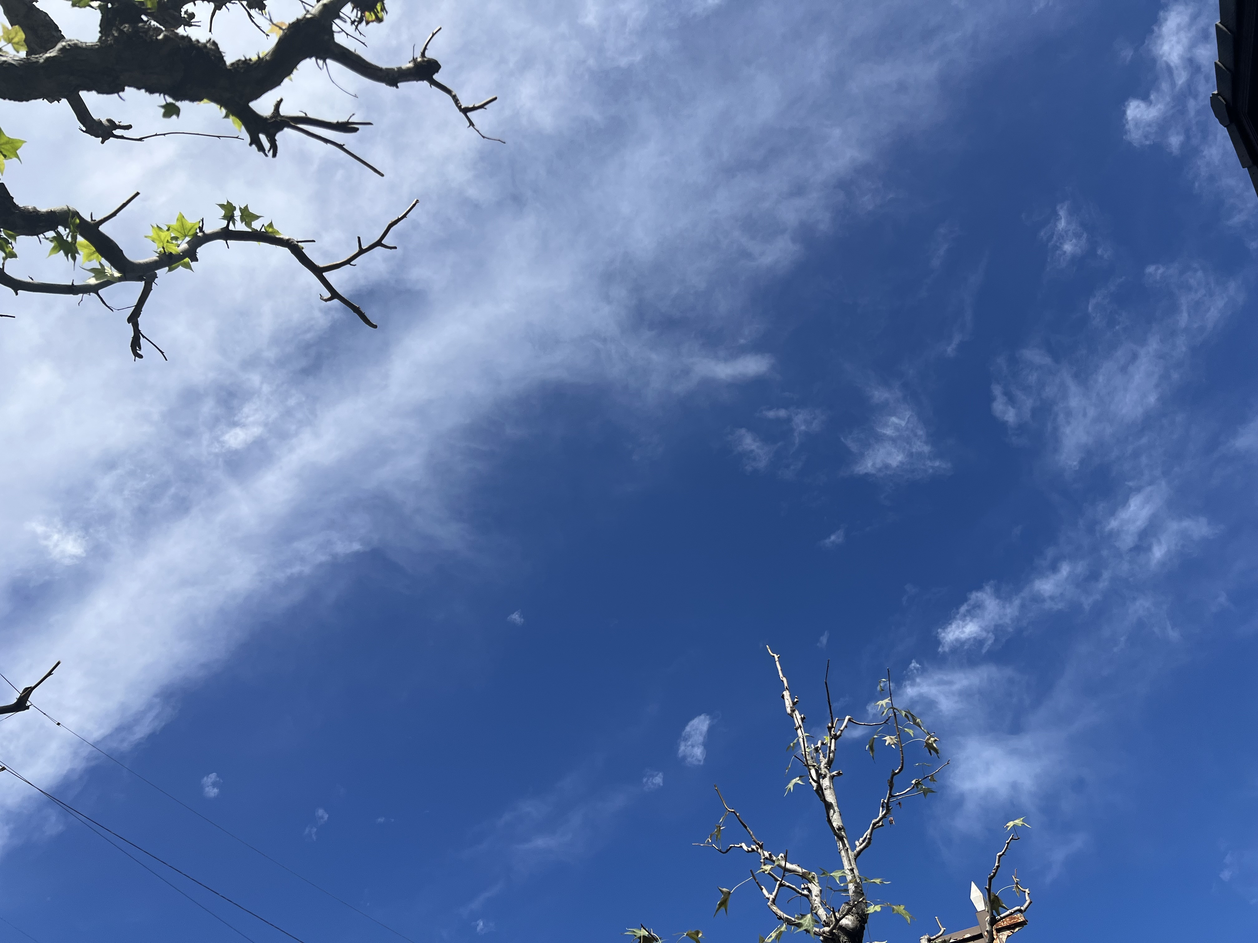 2025年11月 ❃ OPEN GARDEN