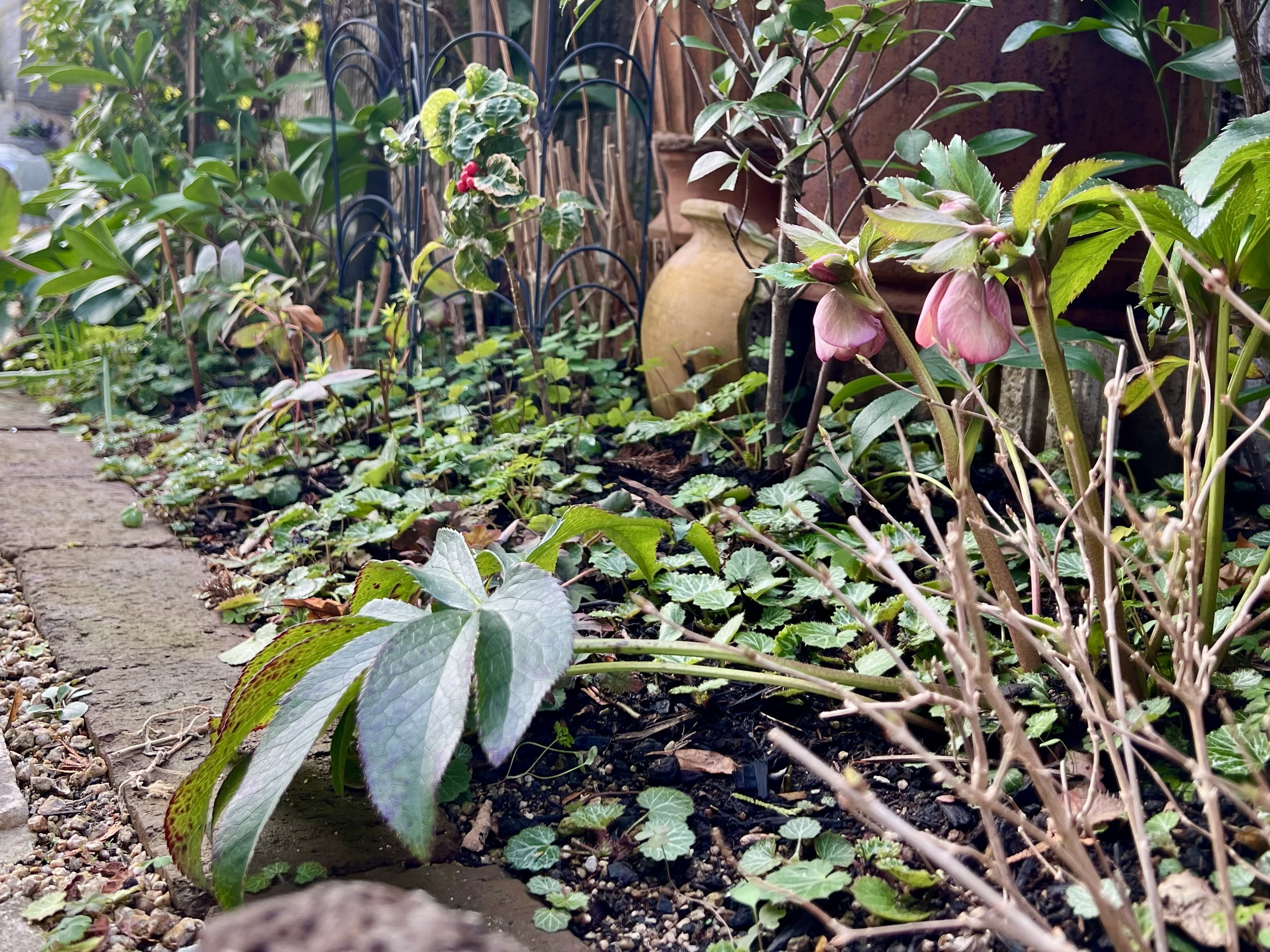 2026年3月 ❃ OPEN GARDEN