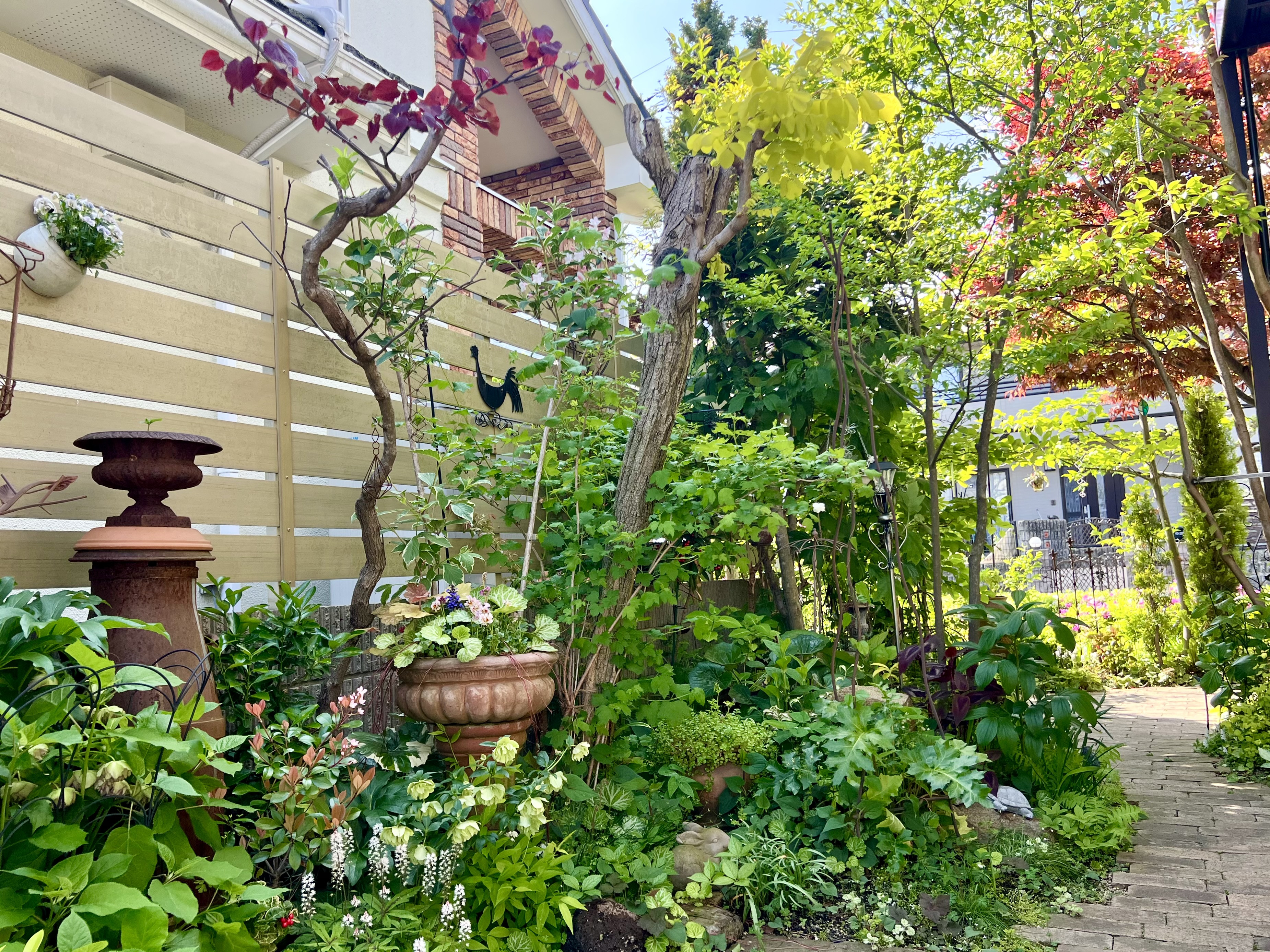 2026年5月 ❃ OPEN GARDEN