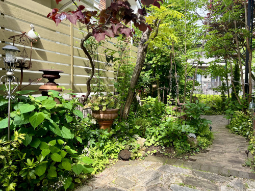 2026年6月 ❃ OPEN GARDEN