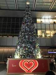 A4AF0EBD-32B3-40D9-8E1E-32C86814267E.jpeg