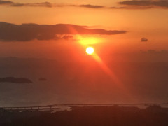 0C0FACF0-C547-4026-8C7A-A2411AB54E18.jpeg