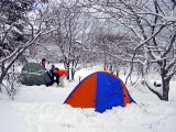 Dsc012021.jpg