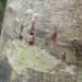 DSCN2137.JPG