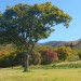 DSCN2173.JPG