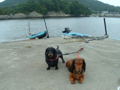 DSCF0050.JPG